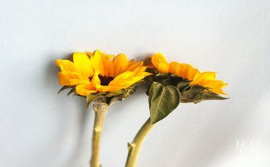 往青岛运费不给怎么投诉