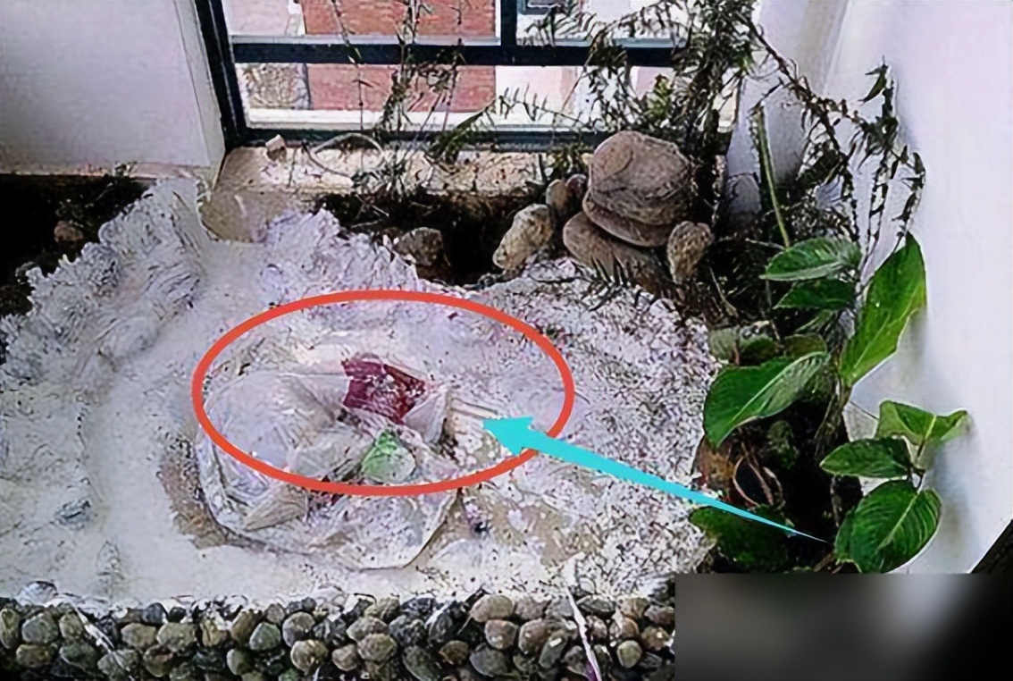 把自家阳台做了鱼池,晒到业主群,楼下马上找上门来吵架了!(图3) DIY阳台鱼池制作教程_弧形鱼池设计美观性_阳台鱼池装修效果图