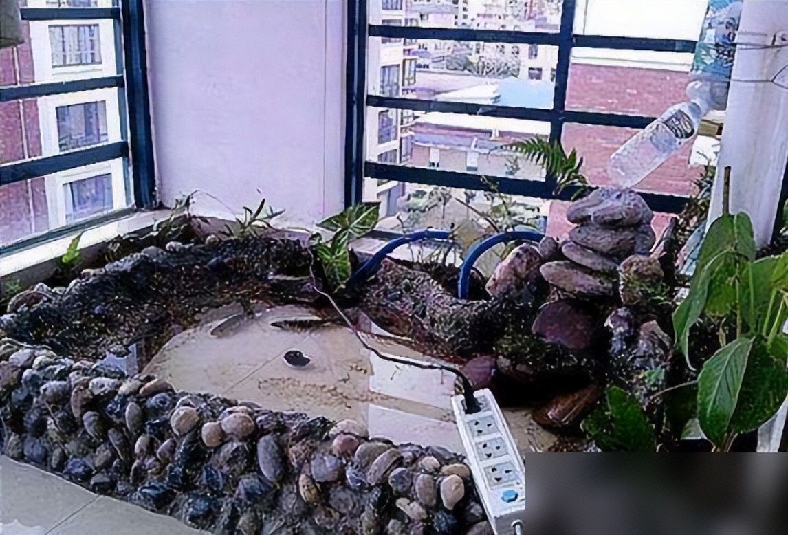 把自家阳台做了鱼池,晒到业主群,楼下马上找上门来吵架了!(图8) 弧形鱼池设计美观性_DIY阳台鱼池制作教程_阳台鱼池装修效果图