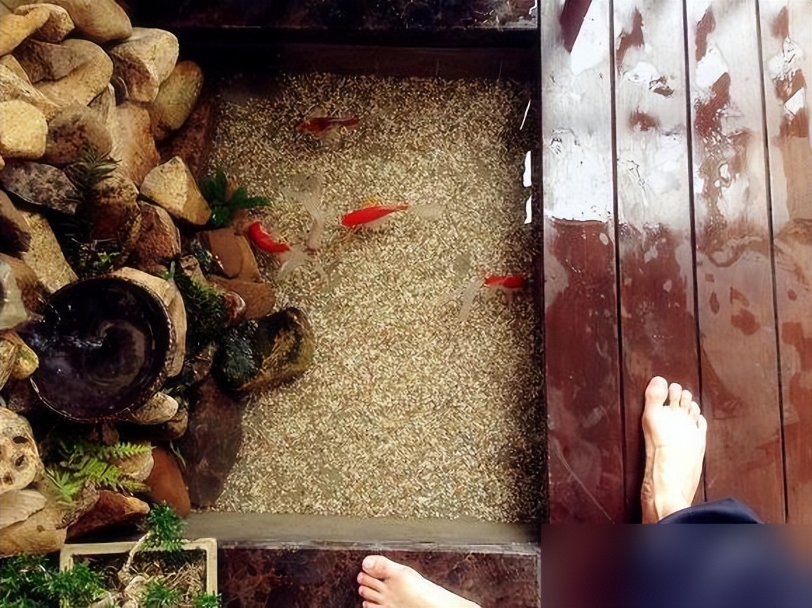 阳台鱼池装修效果图_阳台鱼池教程_200元阳台鱼池做法