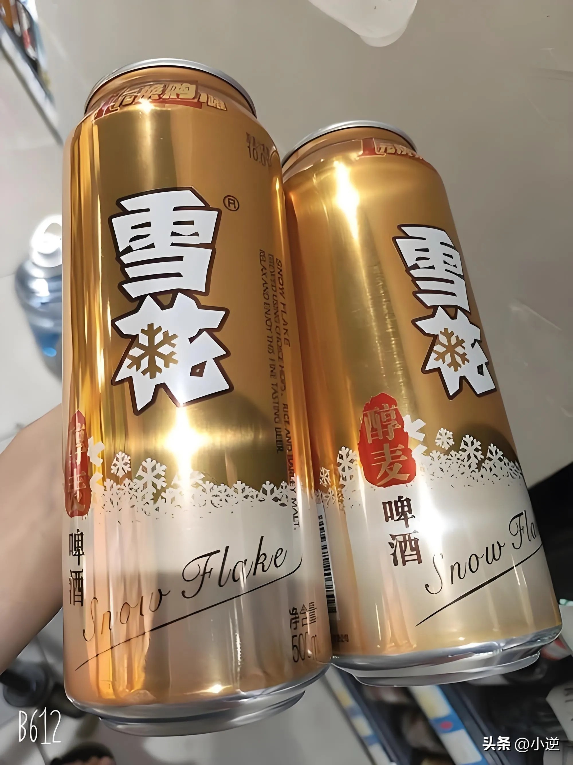 一般听装雪花啤酒价格_雪花醇麦啤酒价格体系_雪花醇麦啤酒价格梯度