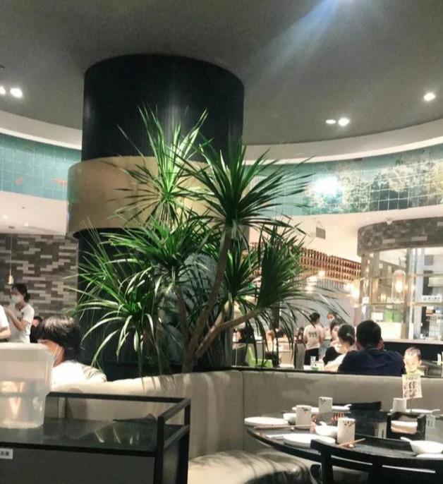 深圳酸菜鱼排行榜,肉质细嫩鲜美,觅食不迷路(图1) 中国十大烤鱼排行榜_深圳酸菜鱼推荐_深圳特色酸菜鱼