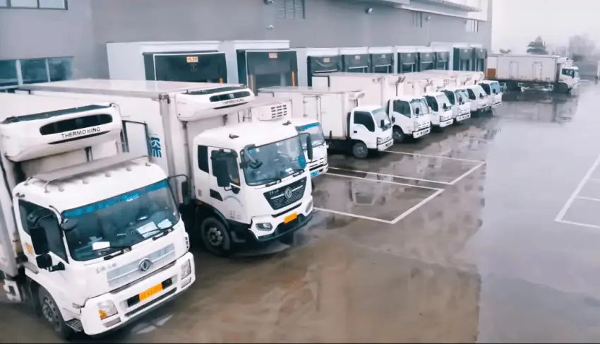 从深圳地标性品牌到布局全球市场,10岁的探鱼愈战愈勇(图9) 探鱼十周年发布会_布局全球市场_中国十大烤鱼排行榜