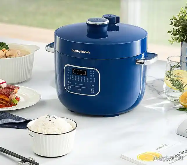 高压电饭锅哪个牌子好用 美的九阳欧莱克苏泊尔三角牌半球康佳APIXINTL奥克斯摩飞_高压电饭锅炖菜