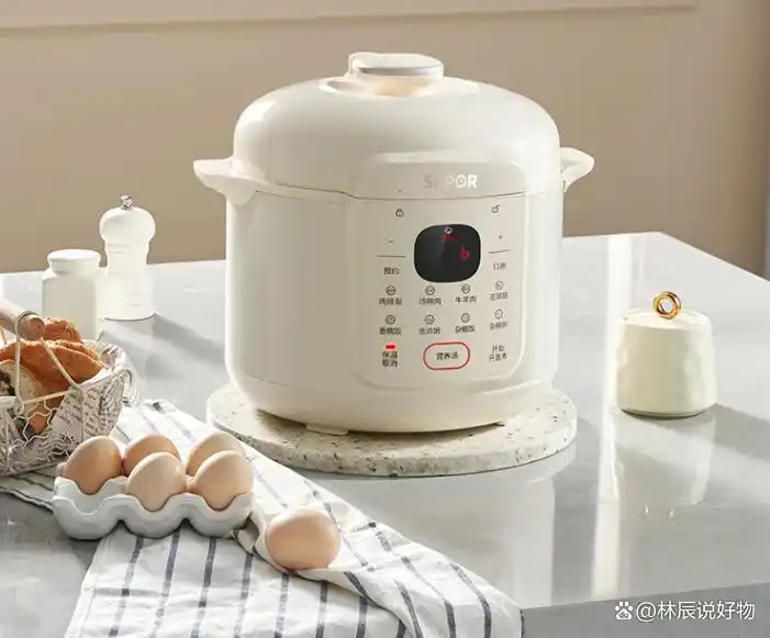 高压电饭锅炖菜_苏泊尔电压力锅选购指南_5L高压锅推荐品牌型号