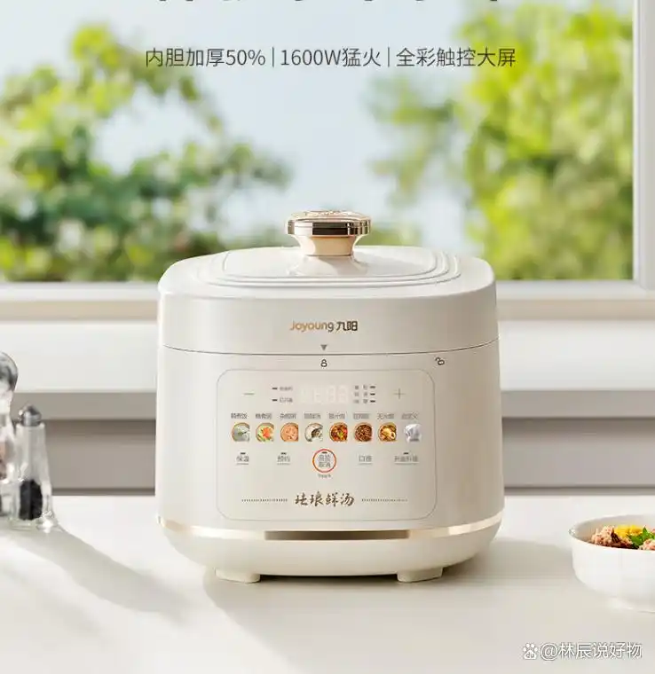 高压电饭锅炖菜_苏泊尔电压力锅选购指南_5L高压锅推荐品牌型号