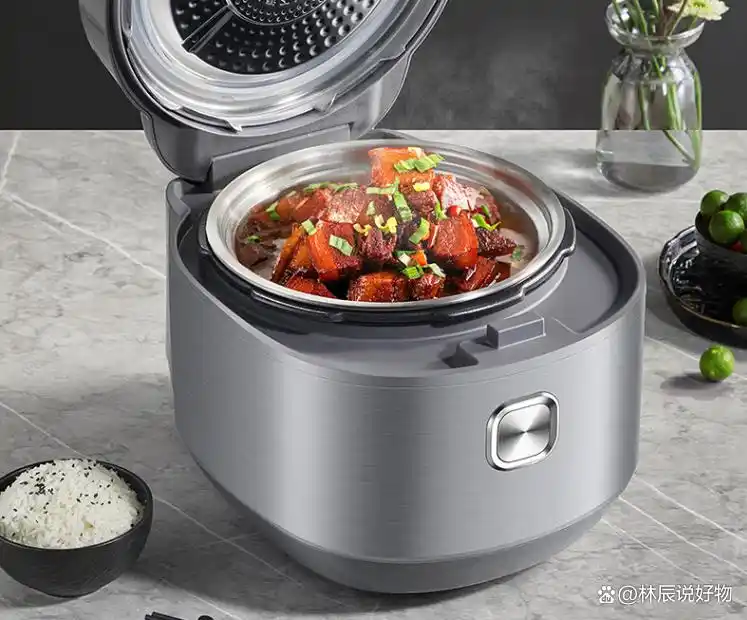 5L高压锅推荐品牌型号_高压电饭锅炖菜_苏泊尔电压力锅选购指南