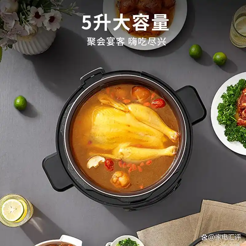 宫菱电压力锅评测_电压力锅品牌排名前10名_高压电饭锅炖菜