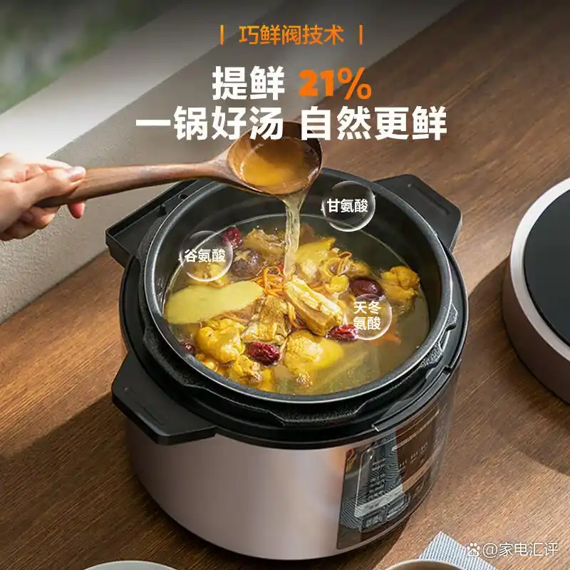 宫菱电压力锅评测_高压电饭锅炖菜_电压力锅品牌排名前10名