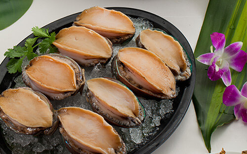 海鲜药膳_生蚝豆腐羹红枣海马炖羊肉_补肾壮阳海鲜食谱