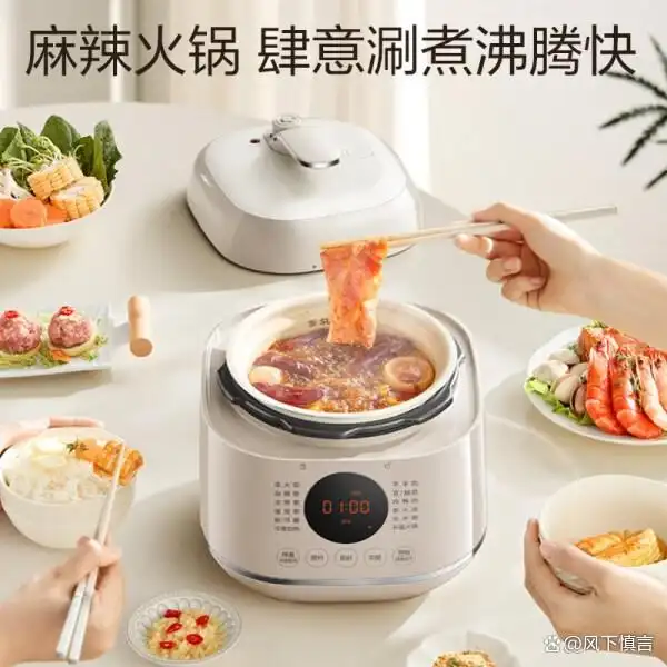 苏泊尔电压力锅推荐_苏泊尔高压锅怎么样好不好_高压电饭锅炖菜