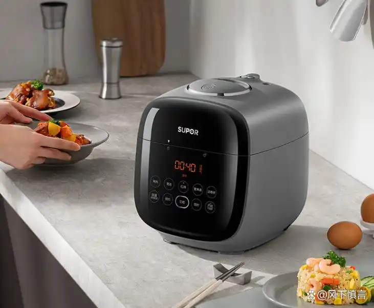 苏泊尔电压力锅推荐_苏泊尔高压锅怎么样好不好_高压电饭锅炖菜