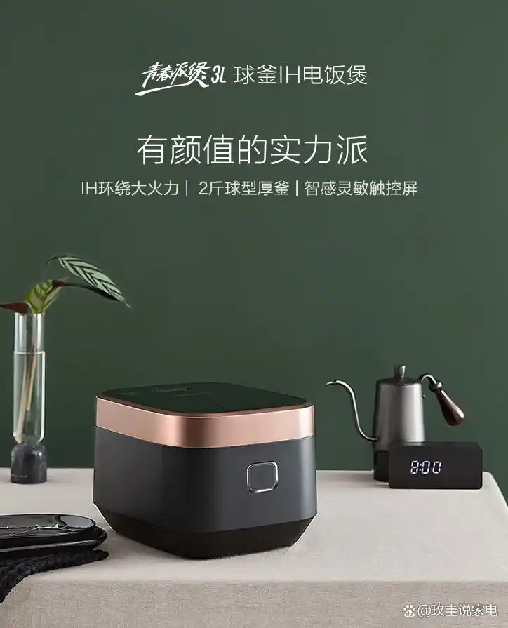 高压电饭锅炖菜_电饭煲和电压力锅哪个更实用_电饭煲和电压力锅对比