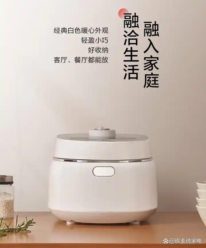 高压电饭锅炖菜_电饭煲和电压力锅对比_电饭煲和电压力锅哪个更实用