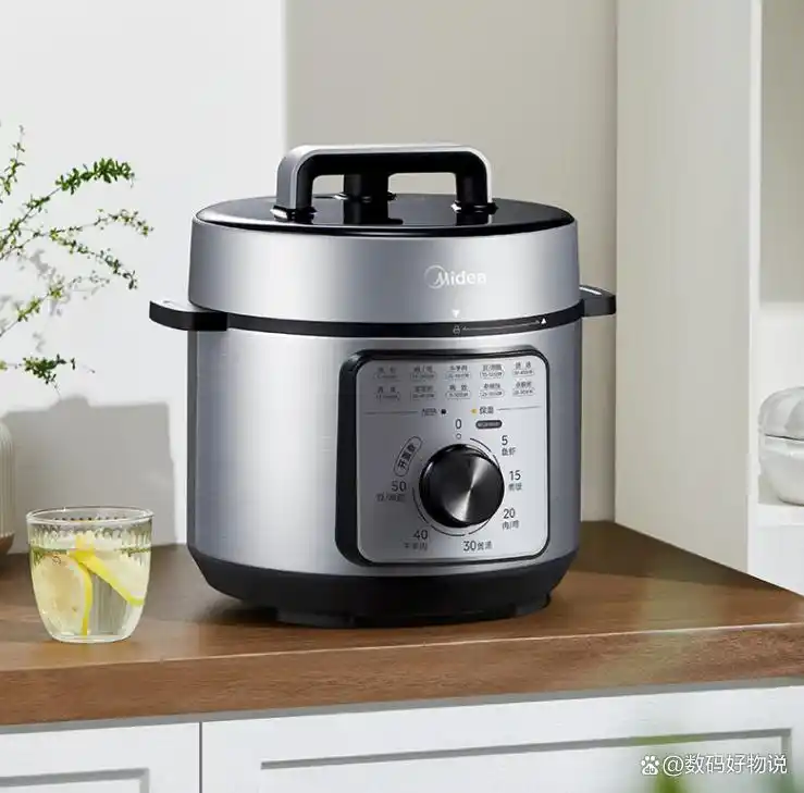 高压电饭锅推荐_高压电饭锅炖菜_哪个牌子好用