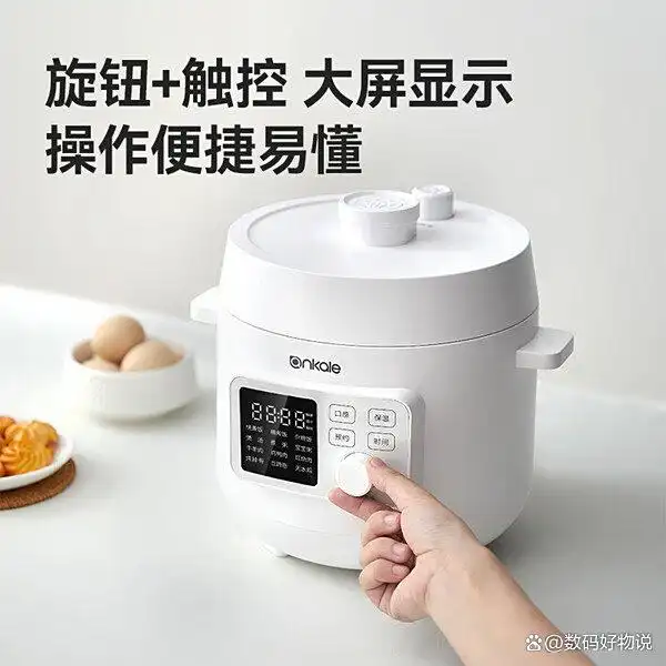 哪个牌子好用_高压电饭锅推荐_高压电饭锅炖菜