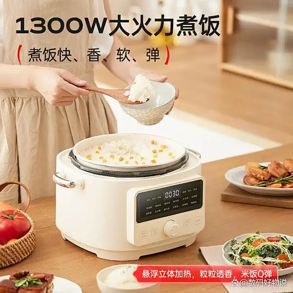 哪个牌子好用_高压电饭锅炖菜_高压电饭锅推荐