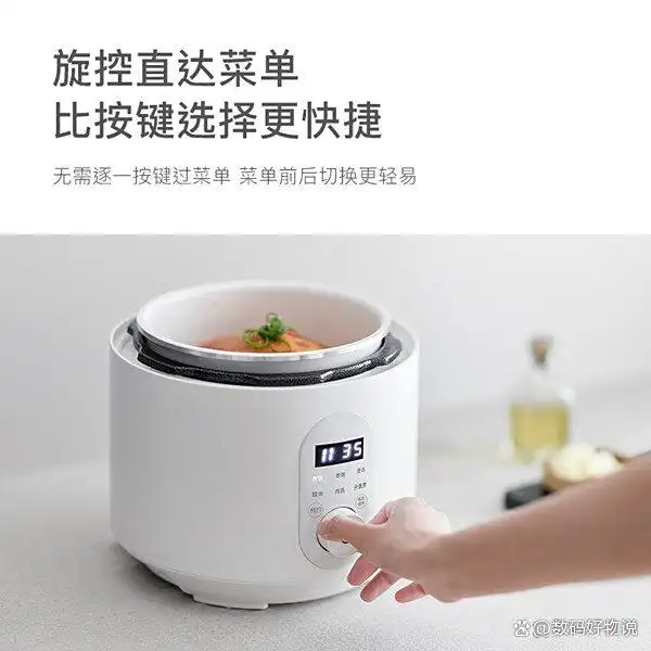 高压电饭锅推荐_高压电饭锅炖菜_哪个牌子好用