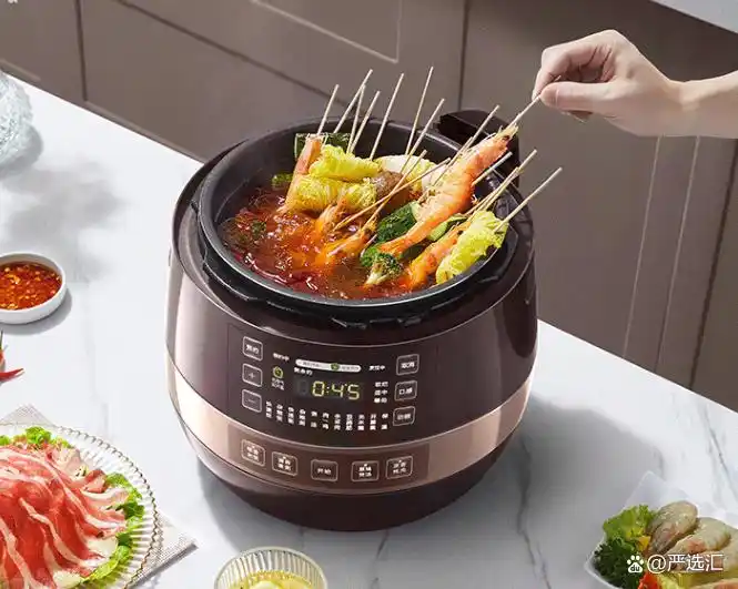 多功能预约高压锅推荐_家用智能预约电压力锅选购指南_高压电饭锅炖菜