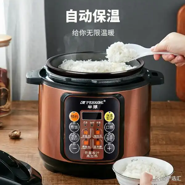 家用智能预约电压力锅选购指南_高压电饭锅炖菜_多功能预约高压锅推荐