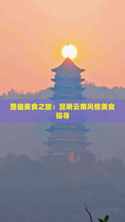 楚雄美食之旅：昆明云南风情美食探寻