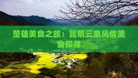 楚雄美食之旅：昆明云南风情美食探寻