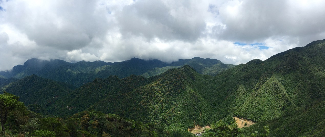 粤菜菜系融合_岭南饮食文化_粤菜代表菜品
