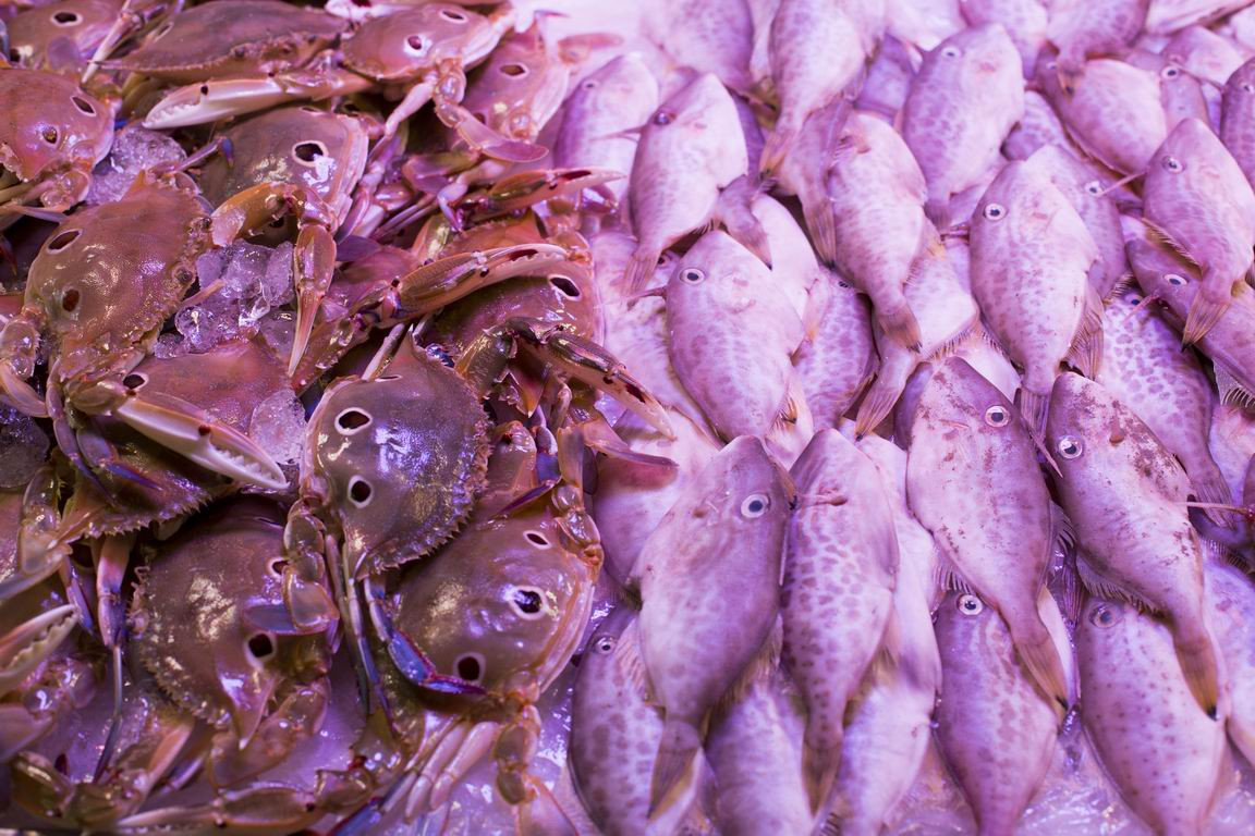 粤菜代表菜品_粤菜菜系融合_岭南饮食文化