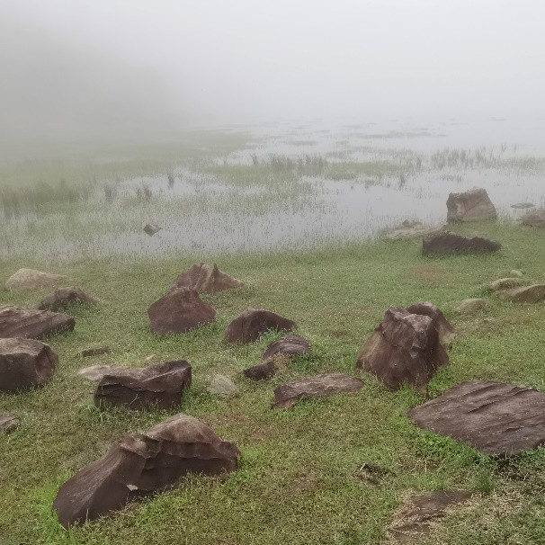粤菜代表菜品_岭南饮食文化_粤菜菜系融合