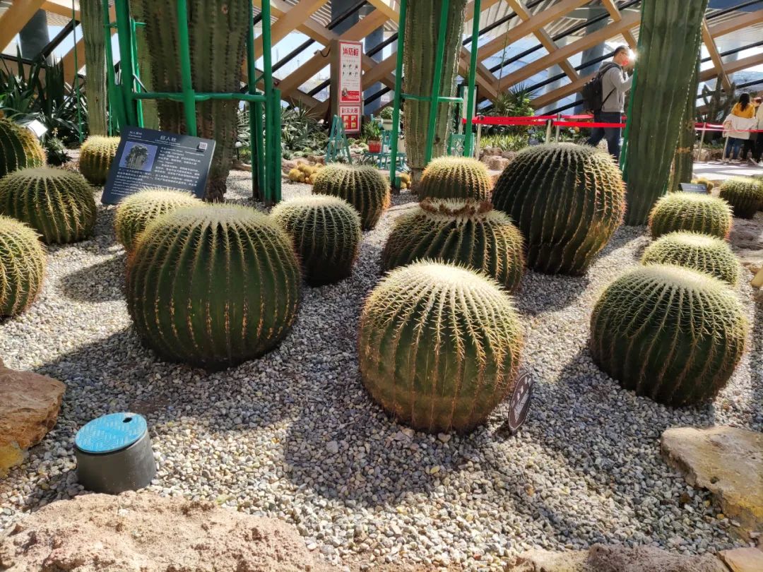 太原柳巷的经典小吃_太原必玩景点_晋祠太原旅游攻略