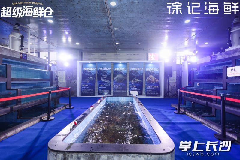 长沙徐记海鲜超级海鲜仓_徐记海鲜俄罗斯海货节_长沙徐记海鲜总店