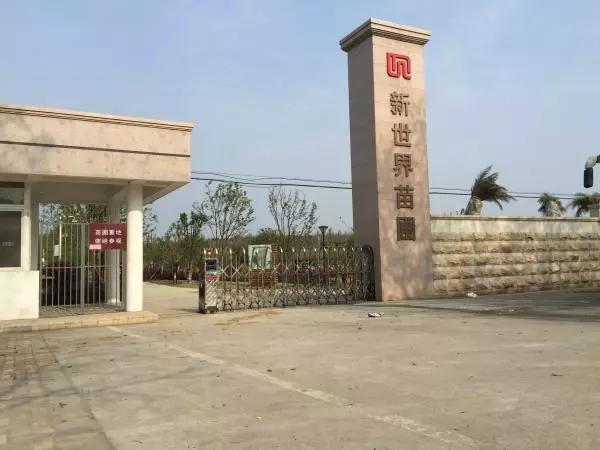 乌鲁木齐野外烧烤地点_武汉烧烤带娃推荐_武汉周边适合遛娃的烧烤地