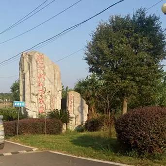 武汉周边适合遛娃的烧烤地_武汉烧烤带娃推荐_乌鲁木齐野外烧烤地点