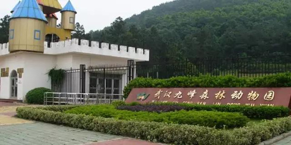 武汉烧烤带娃推荐_武汉周边适合遛娃的烧烤地_乌鲁木齐野外烧烤地点