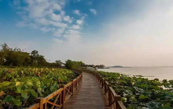 乌鲁木齐野外烧烤地点_武汉周边适合遛娃的烧烤地_武汉烧烤带娃推荐