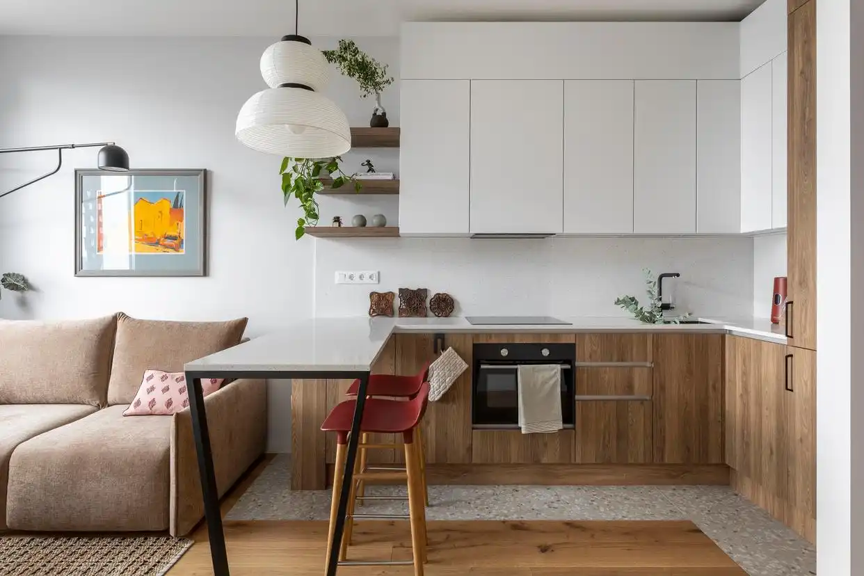 国外一居室两卫设计_小户型改造方案_一居室小公寓装修效果图