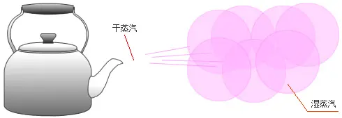 蒸汽清洗机价位不高_蒸汽传热原理_干蒸汽与湿蒸汽区别