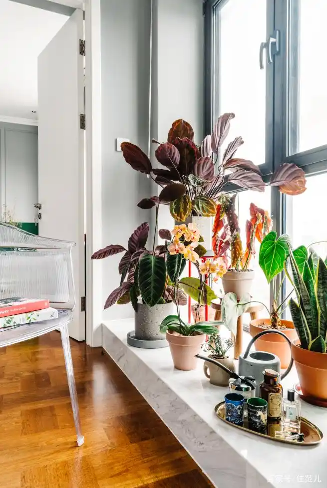 精品小户型欧式装修_82平米小户型改造_全屋开放式厨房餐厅设计