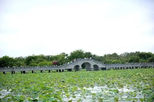 儋州网红旅游点_海南省旅游景点_洋浦千年古盐田旅游攻略