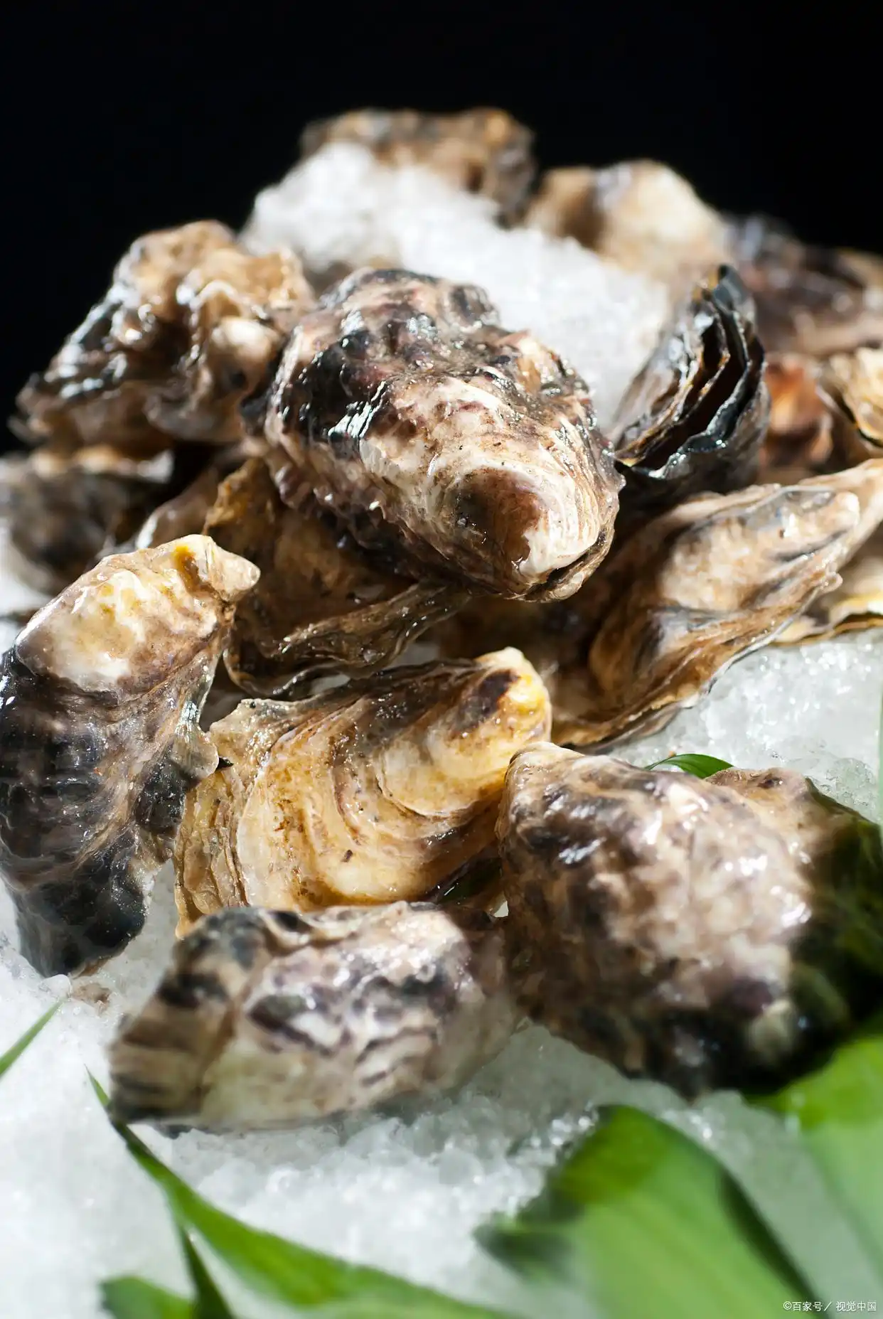 青岛十大名小吃_青岛特色美食小吃推荐_青岛十大特色小吃