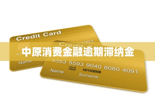 中原消费金融逾期滞纳金