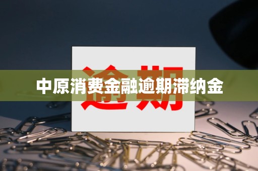 中原消费金融逾期滞纳金