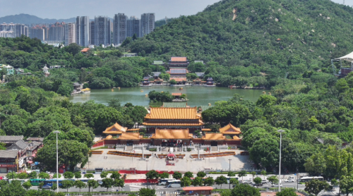 自贡非遗彩灯体验_圆明新园附近美食_珠海圆明新园彩灯嘉年华