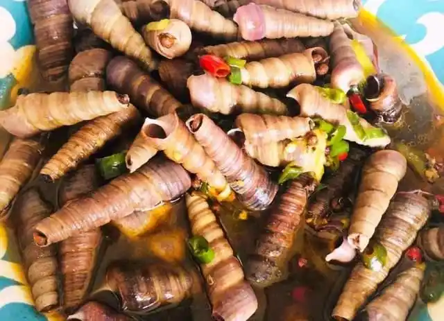 yyds!烟台人的“宵夜必点”,贴秋膘的小烧烤集合啦!(图17) 烟台烧烤攻略_烟台特色烧烤_烟台527烧烤部落