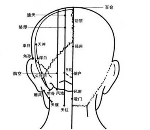 头部背面穴位34个_头部核磁共振多少钱_头部穴位位置图解