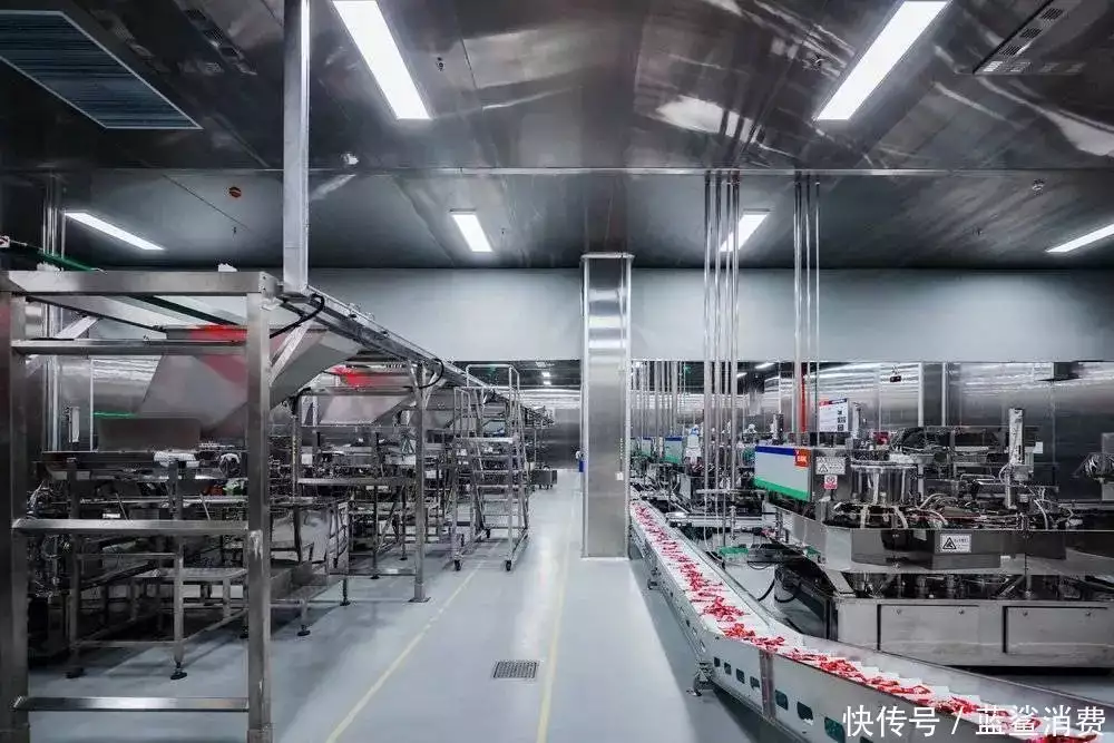 为什么最会吃的中国人,没有世界级的零食?(图7) 虎皮凤爪零食_粤菜豉汁蒸凤爪_中国零食市场