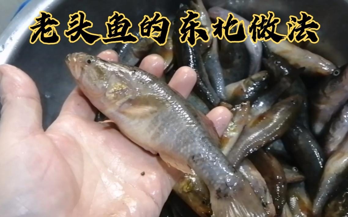 东北老头鱼，肉质肥厚，雪白细嫩，大厨用传统东北做法，味道正宗