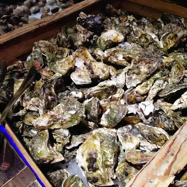 比尔森自助烤肉火锅_特色自助烤肉_长春自助餐厅推荐