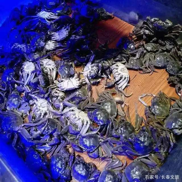 比尔森自助烤肉火锅_特色自助烤肉_长春自助餐厅推荐