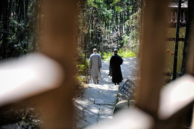 少林寺当前出家条件_历史少林寺出家要求_少林寺塔沟武校学费